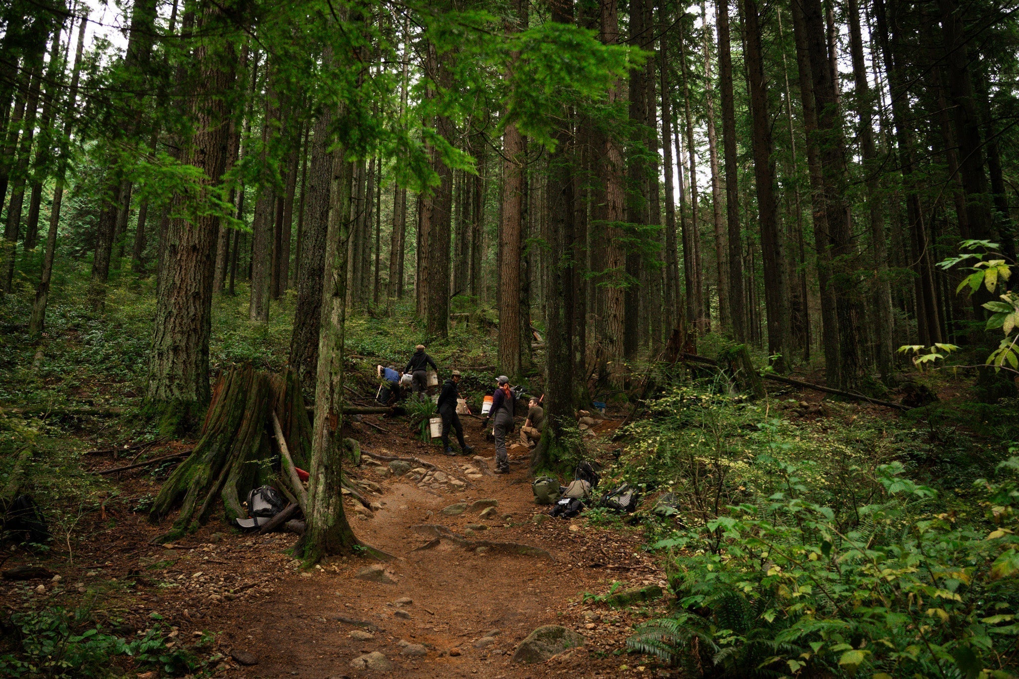 2026 NSMBA Trail Days with Santa Cruz Bicycles