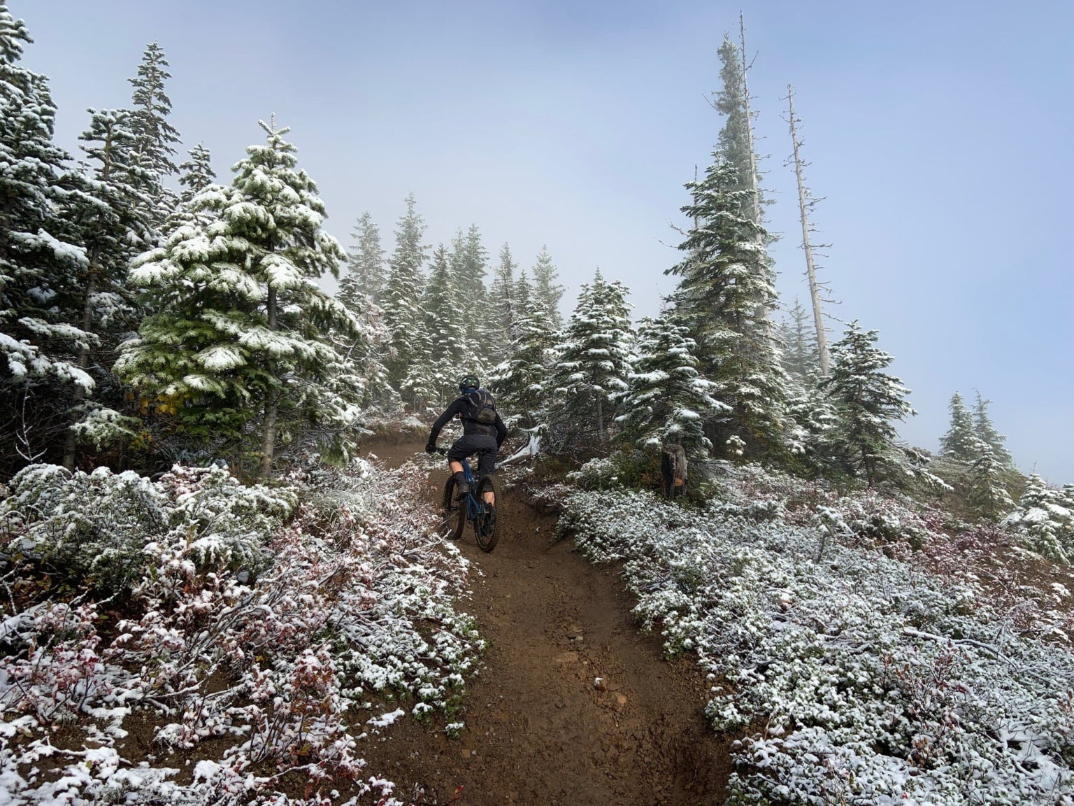 Trans Cascadia - a Backcountry Singletrack Epic