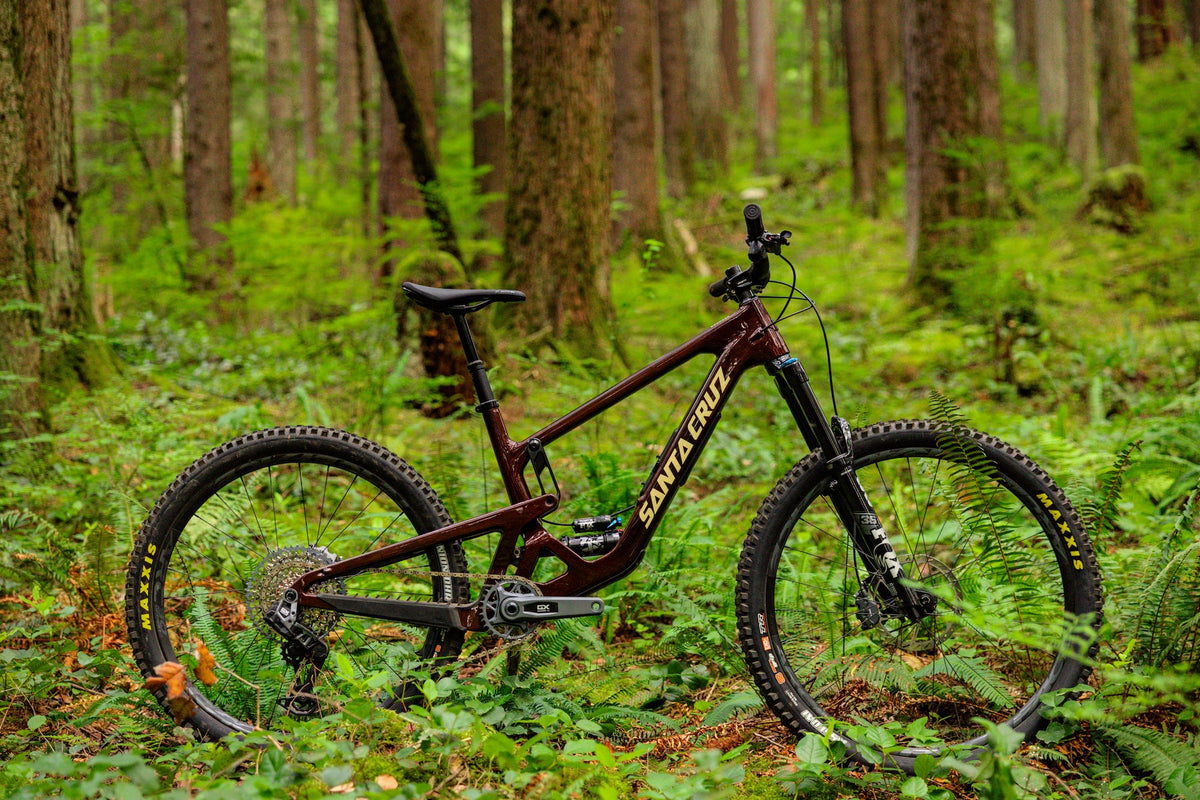 Santa Cruz Bronson 5 Gets More Grip, New Frame Look – Steed Cycles