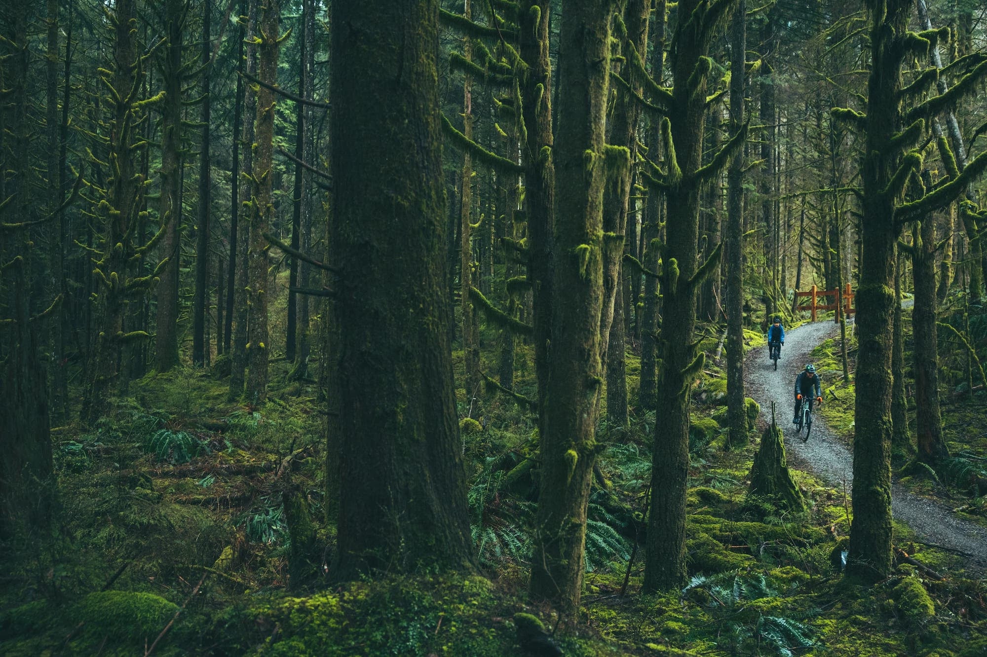 Ode to the North Shore