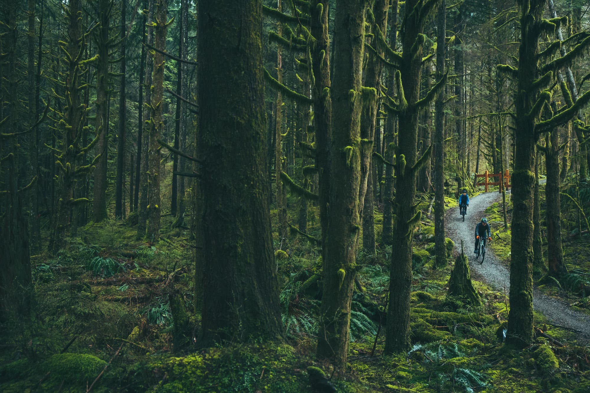 Ode to the North Shore