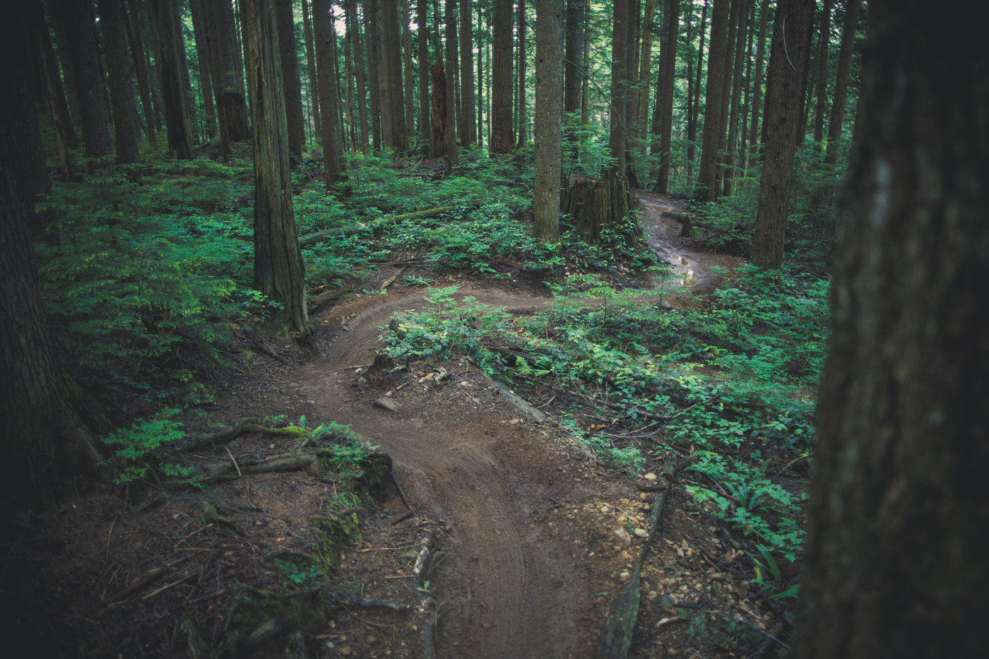 A Guide to Winter Trail choice on the North Shore