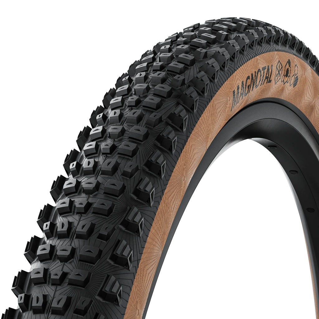 CONTINENTAL MAGNOTAL 29x2.4 チューブレスレディタイヤ Continental Magnotal – Steed Cycles