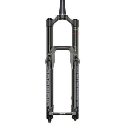 RockShox Domain RC