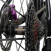 Giant Anthem Advanced SL Édition spéciale