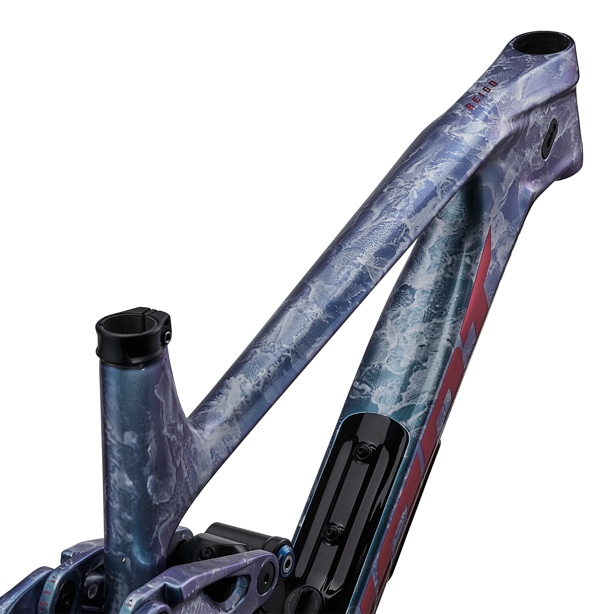 Giant Reign Advanced Frameset
