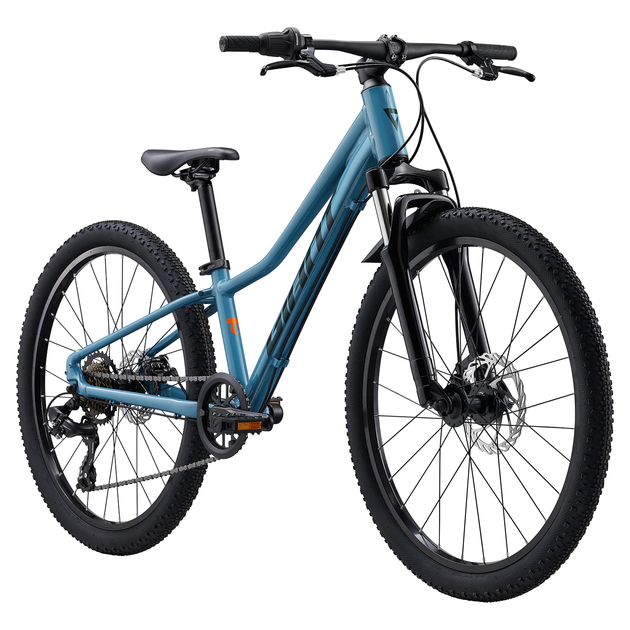 Giant Talon 24 Disc