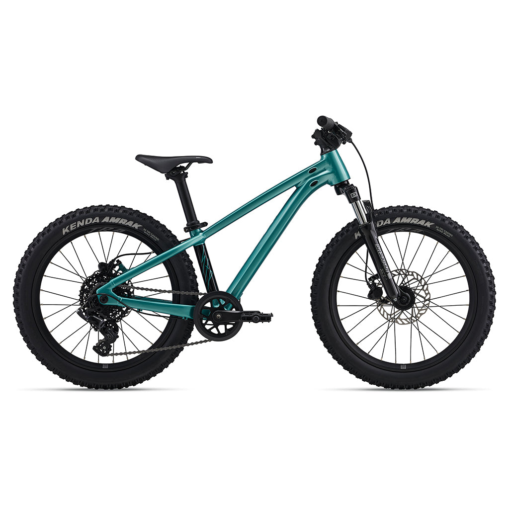 Giant STP 20 FS