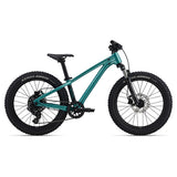 Giant STP 20 FS