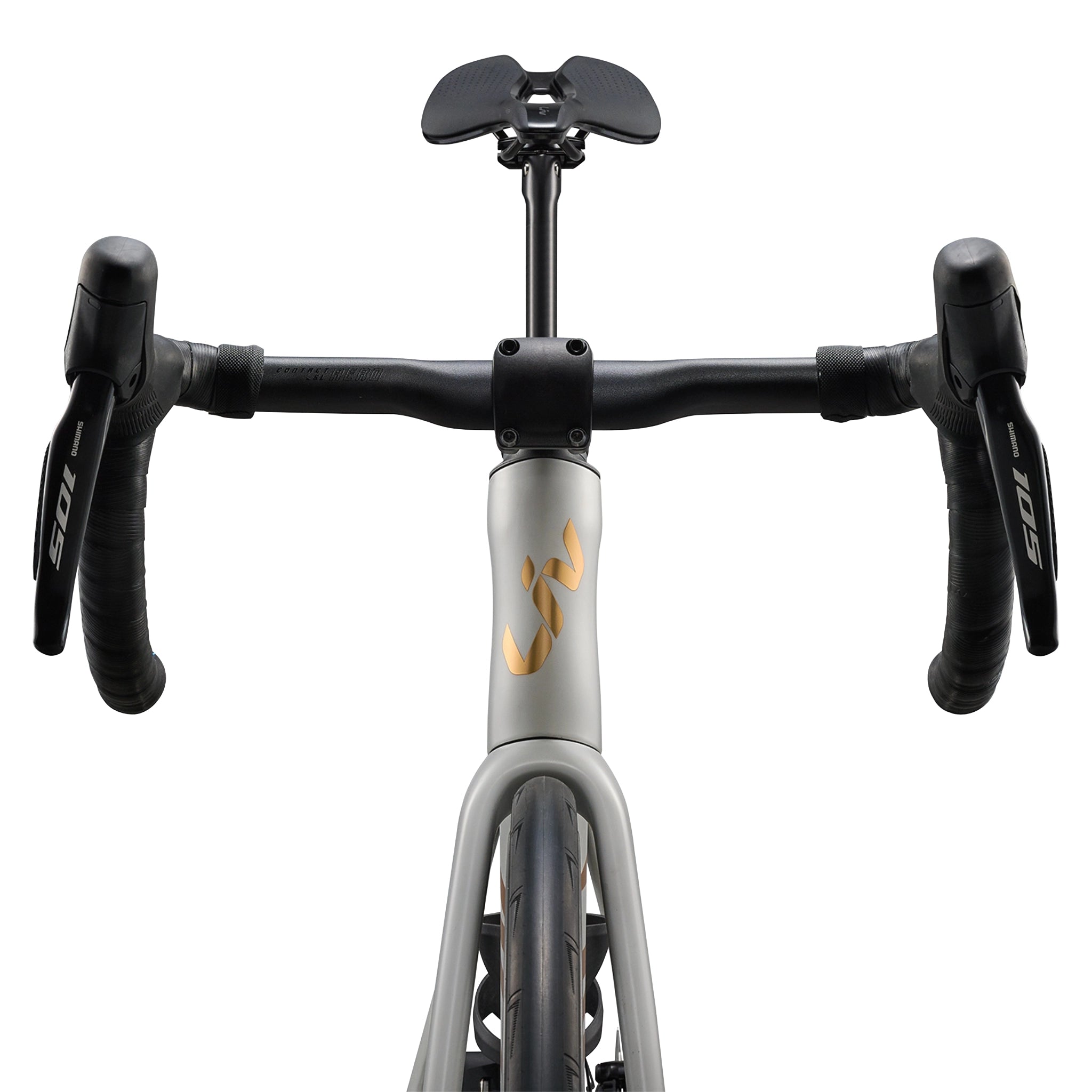 Liv Enviliv Advanced 1