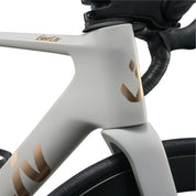 Liv Enviliv Advanced 1