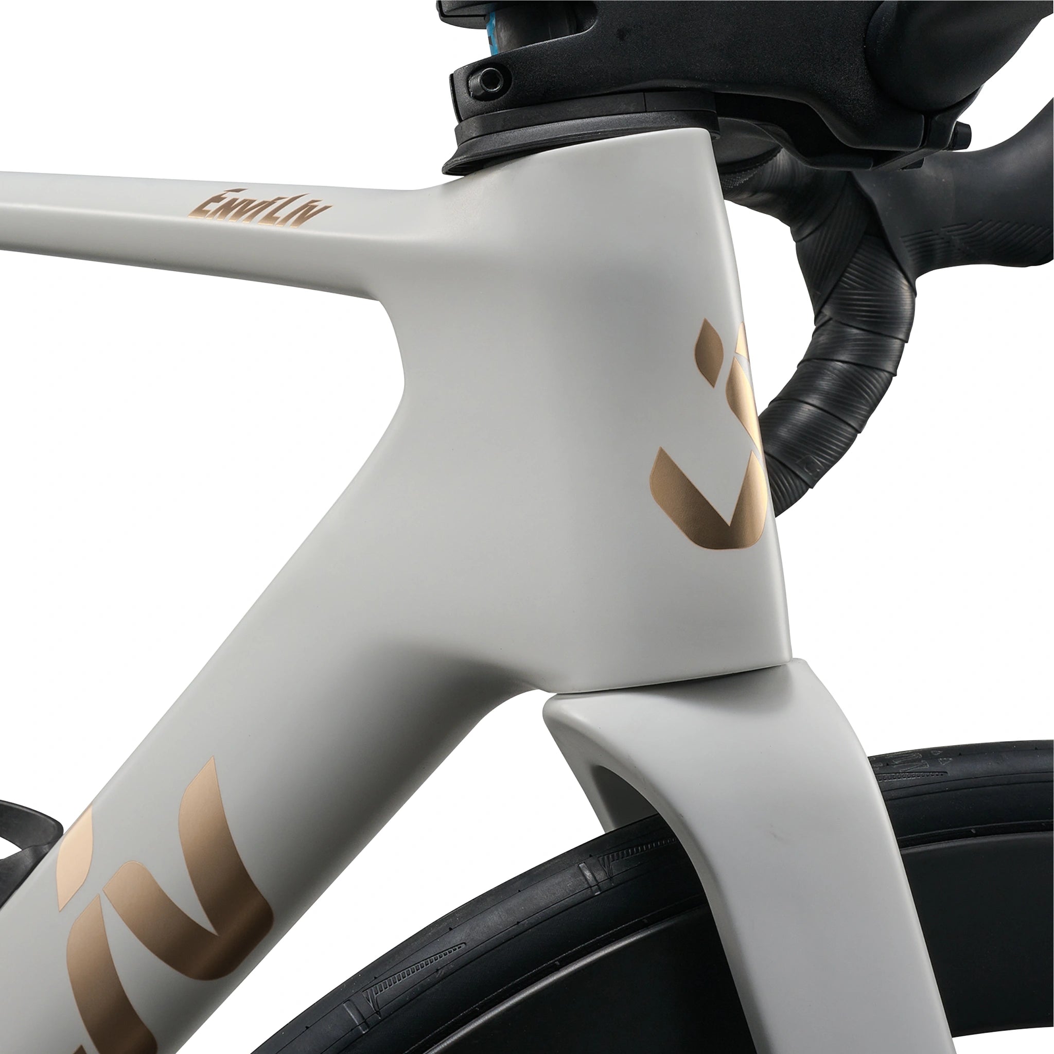 Liv Enviliv Advanced 1