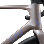 Liv Disponible Advanced 1
