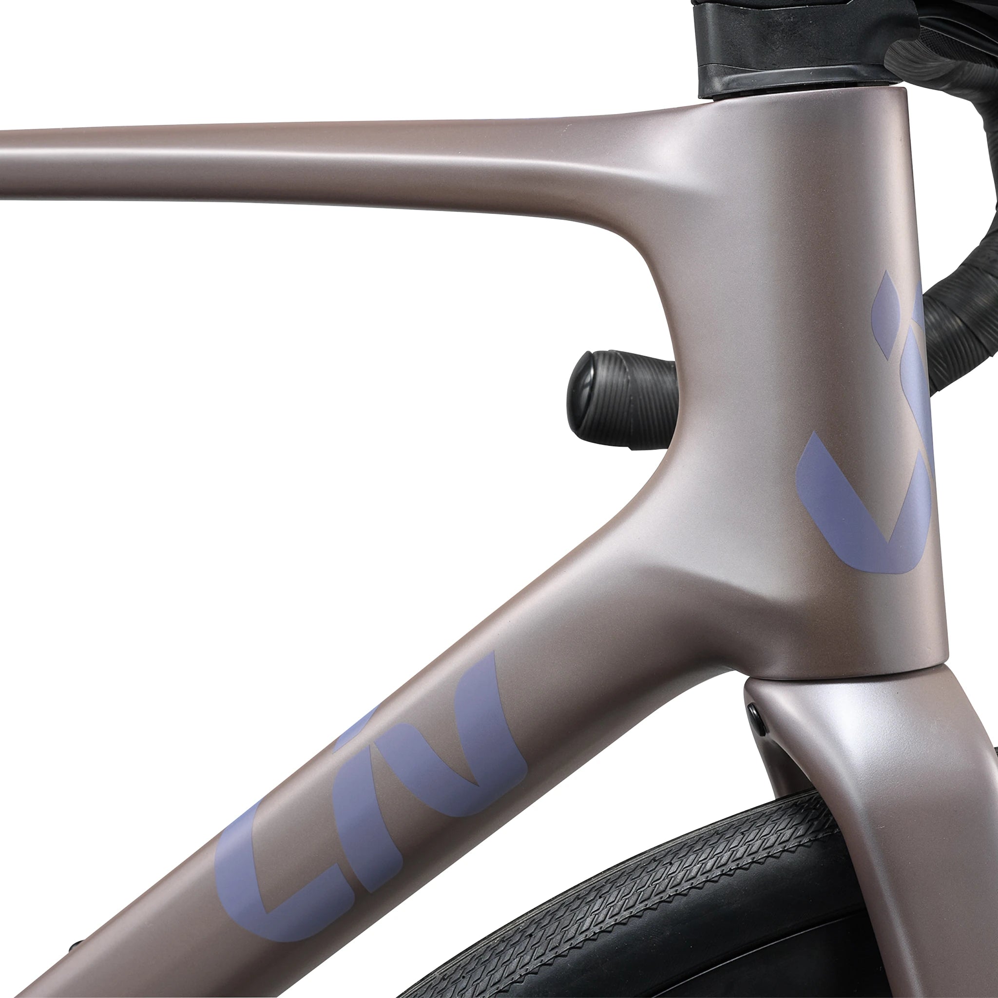 Liv Disponible Advanced 1
