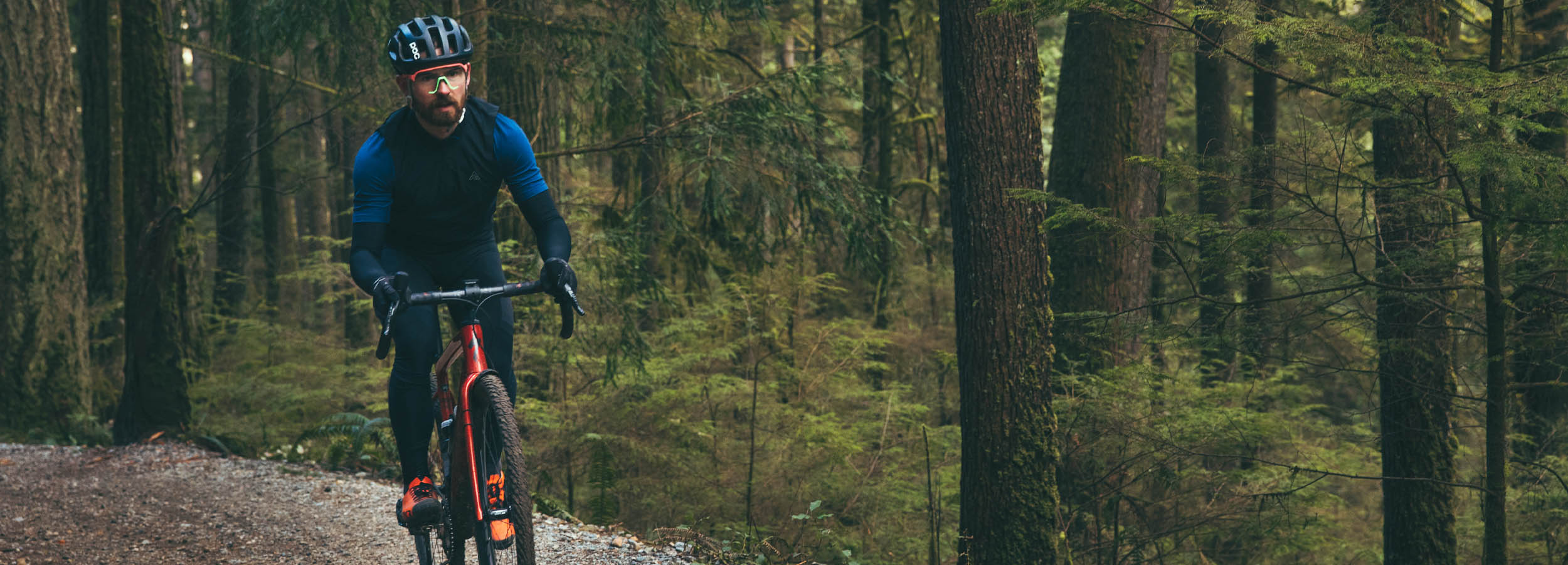 Specialized Diverge Steed Cycles