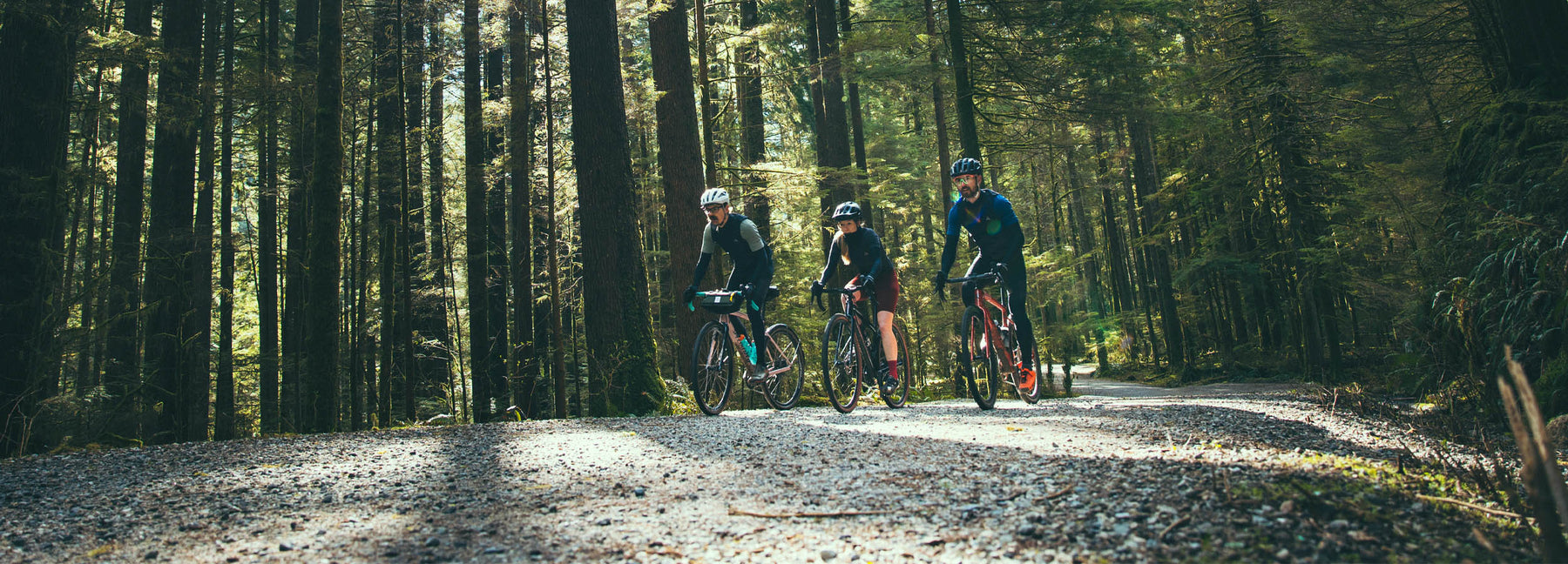 Specialized Diverge Steed Cycles