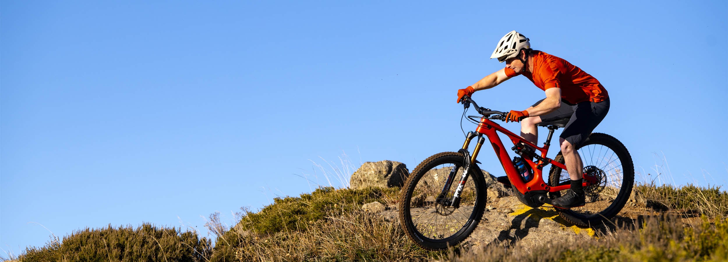 MY24-Specialized-Levo-Action1.jpg