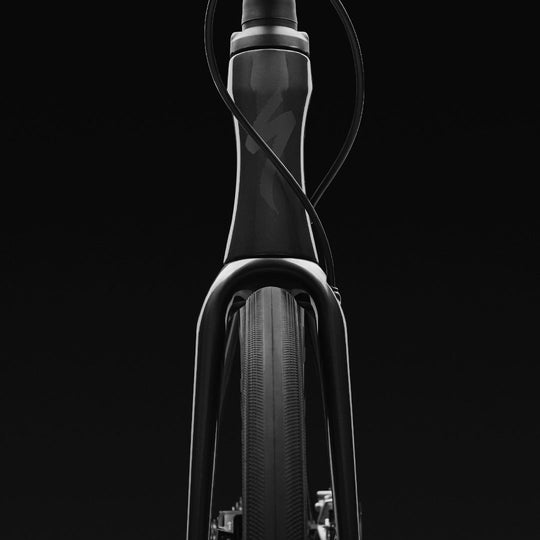 Specialized Roubaix | Steed Cycles