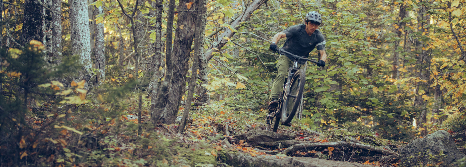 Giant Trance Steed Cycles
