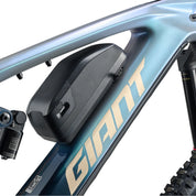 Giant Reign Advanced E+ 2