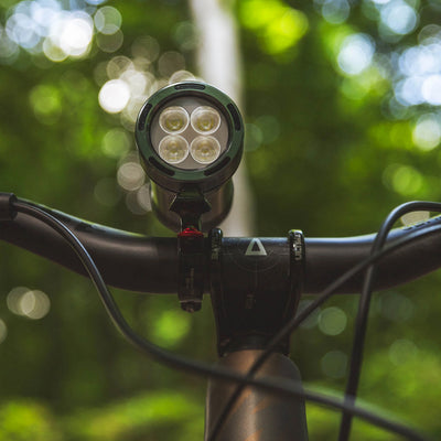 Exposure Lights MaXx-D 17