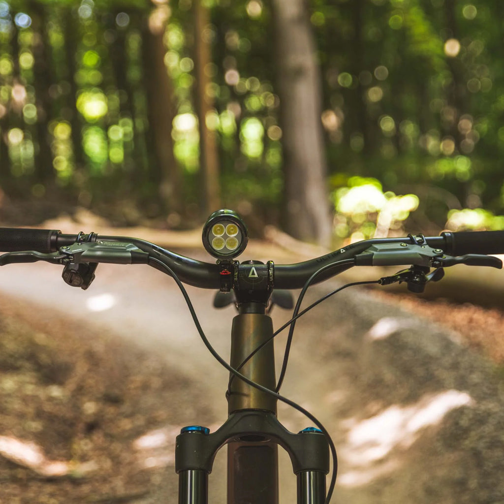 Exposure Lights MaXx-D 17