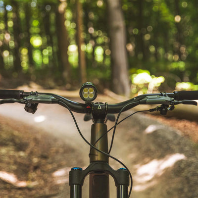 Exposure Lights MaXx-D 17