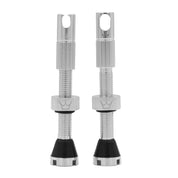 Valves tubeless Peaty's x Chris King MK2