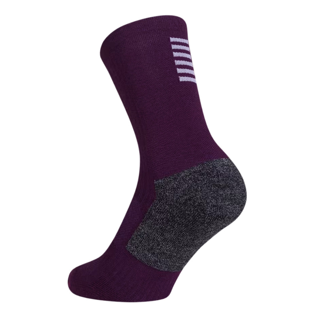 Chaussettes d'hiver Rapha Pro Team