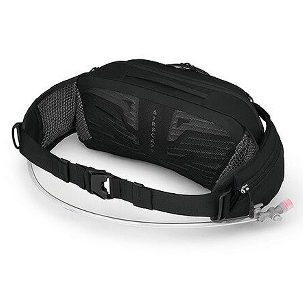 Osprey Raptor 4