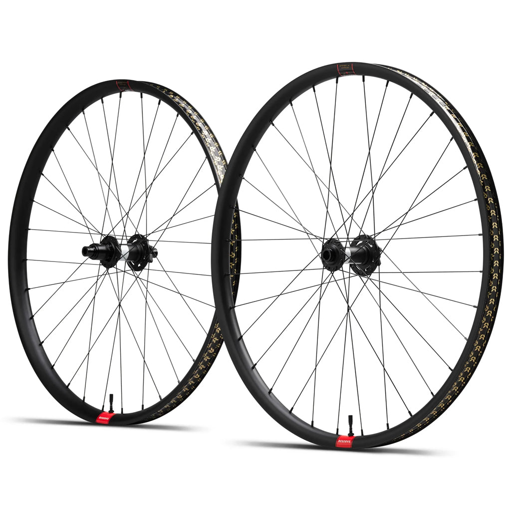 Reserve 30|HD 29" Aluminum DT 350 DEG DF 110 XD 6-Bolt Wheelset