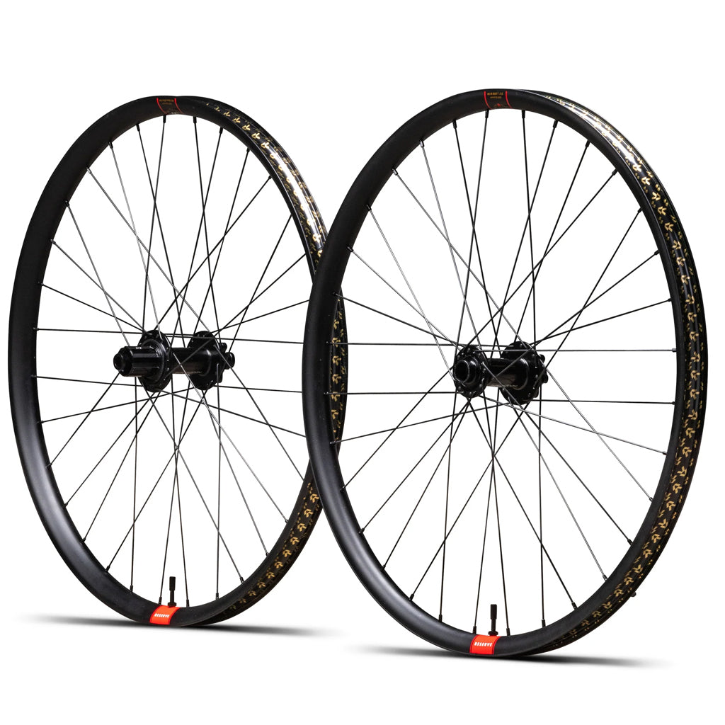 Reserve 30|HD DH MX Aluminum DT 350 90T Ratchet DEG 110 Boost 157 XD 6-Bolt Wheelset