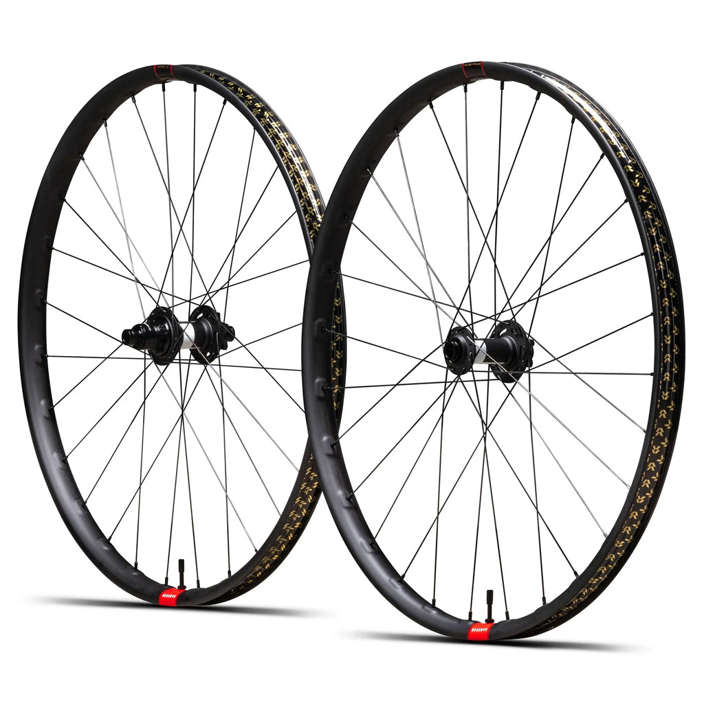 Reserve 30|SL 29" Carbon DT 350 DEG DF 110 XD 6-Bolt Wheelset