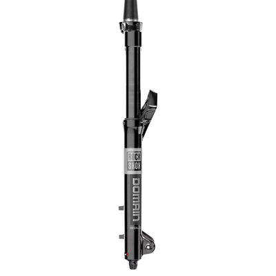 RockShox Domain Gold RC