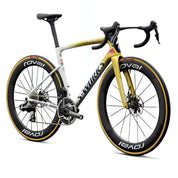Specialized S-Works Tarmac SL9 LTD - Remco Evenepoel