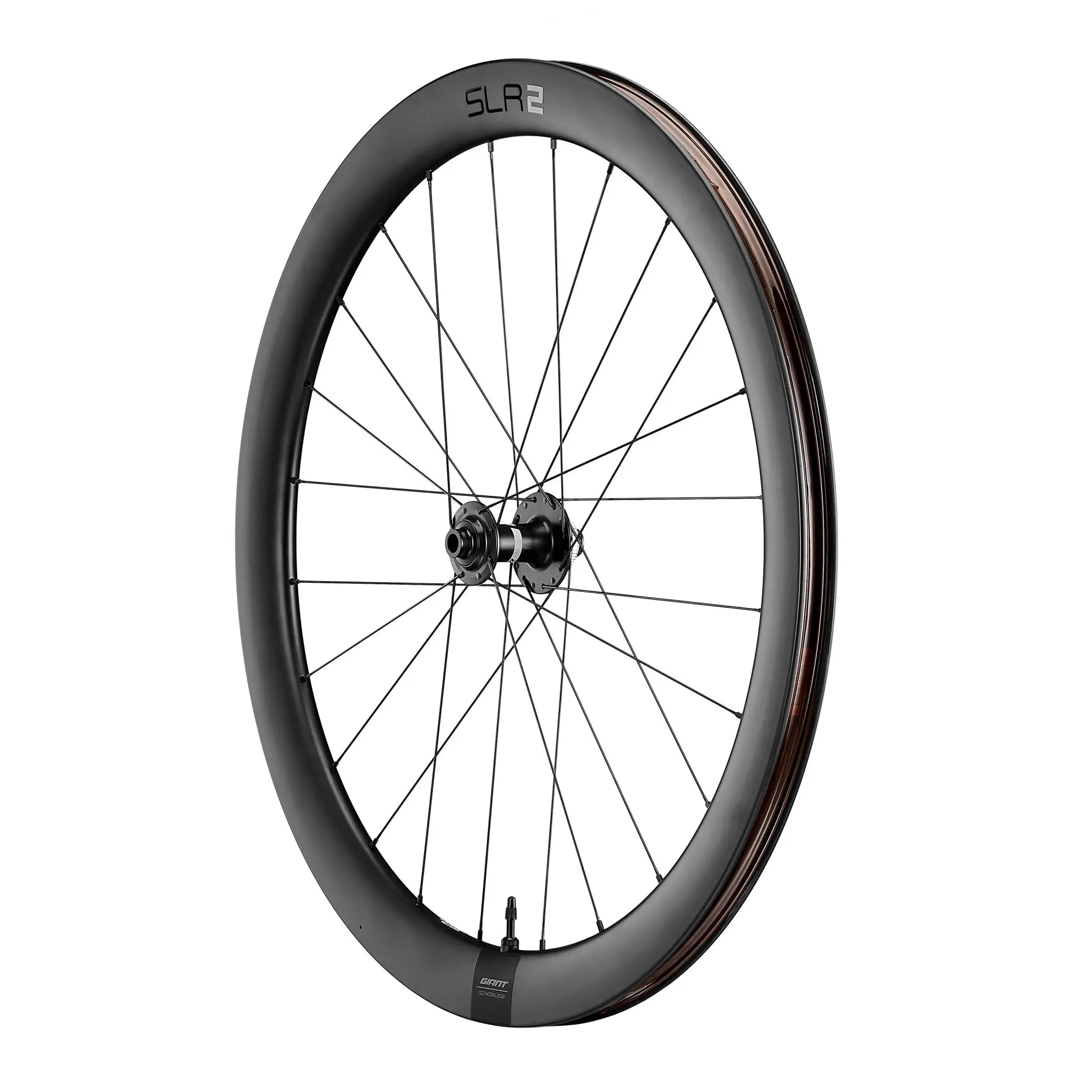 Giant SLR 2 50 Disc CL Wheels
