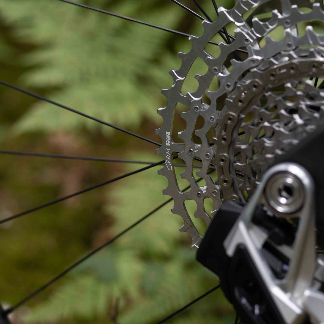 Santa Cruz Nomad 7 CC MX Reserve 1987 Collection Custom Build
