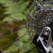 Santa Cruz Nomad 7 CC MX Reserve 1987 Collection Custom Build