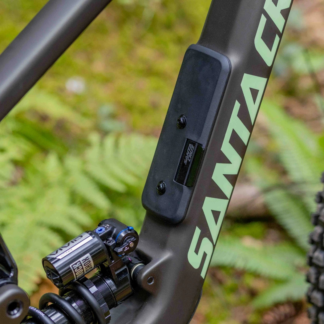Santa Cruz Nomad 7 CC MX Reserve 1987 Collection Custom Build