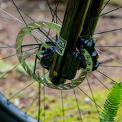 Santa Cruz Nomad 7 CC MX Reserve 1987 Collection Custom Build