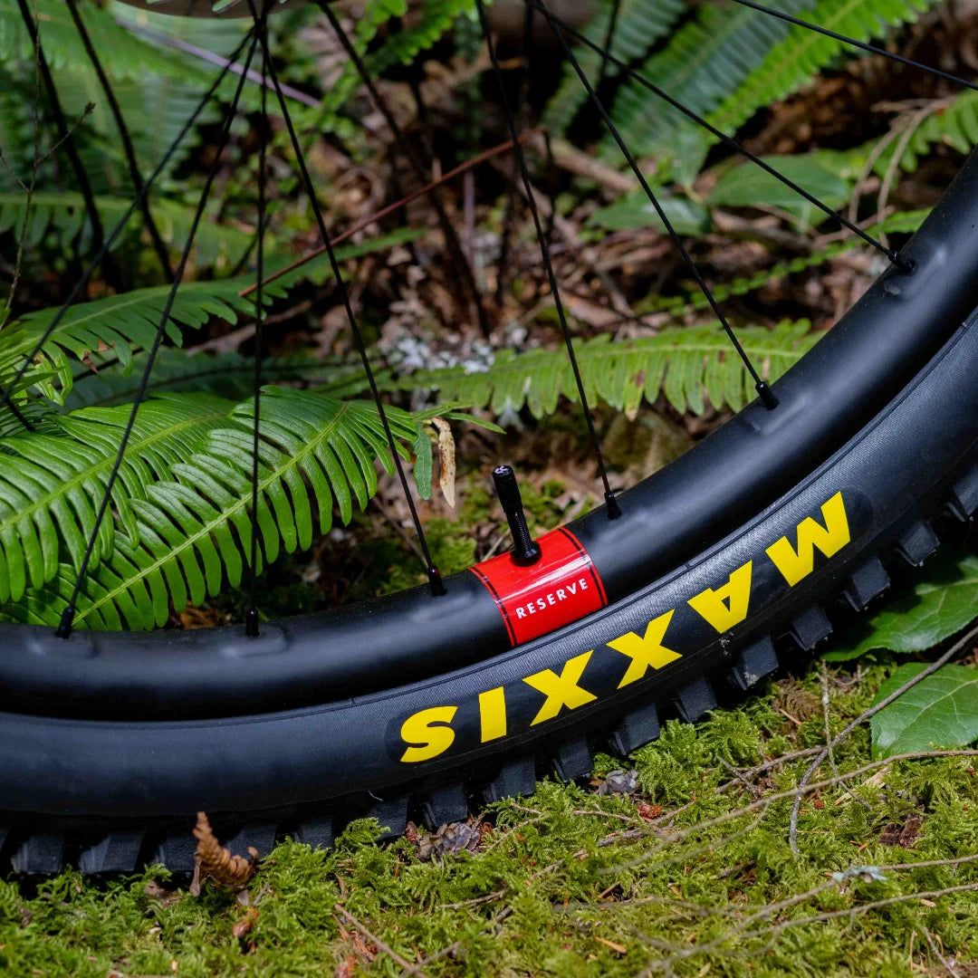 Santa Cruz Nomad 7 CC MX Reserve 1987 Collection Custom Build