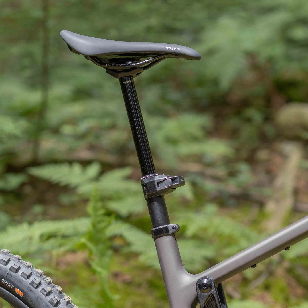 Santa Cruz Nomad 7 CC MX Reserve 1987 Collection Custom Build