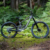 Santa Cruz Nomad 7 CC MX Reserve 1987 Collection Custom Build