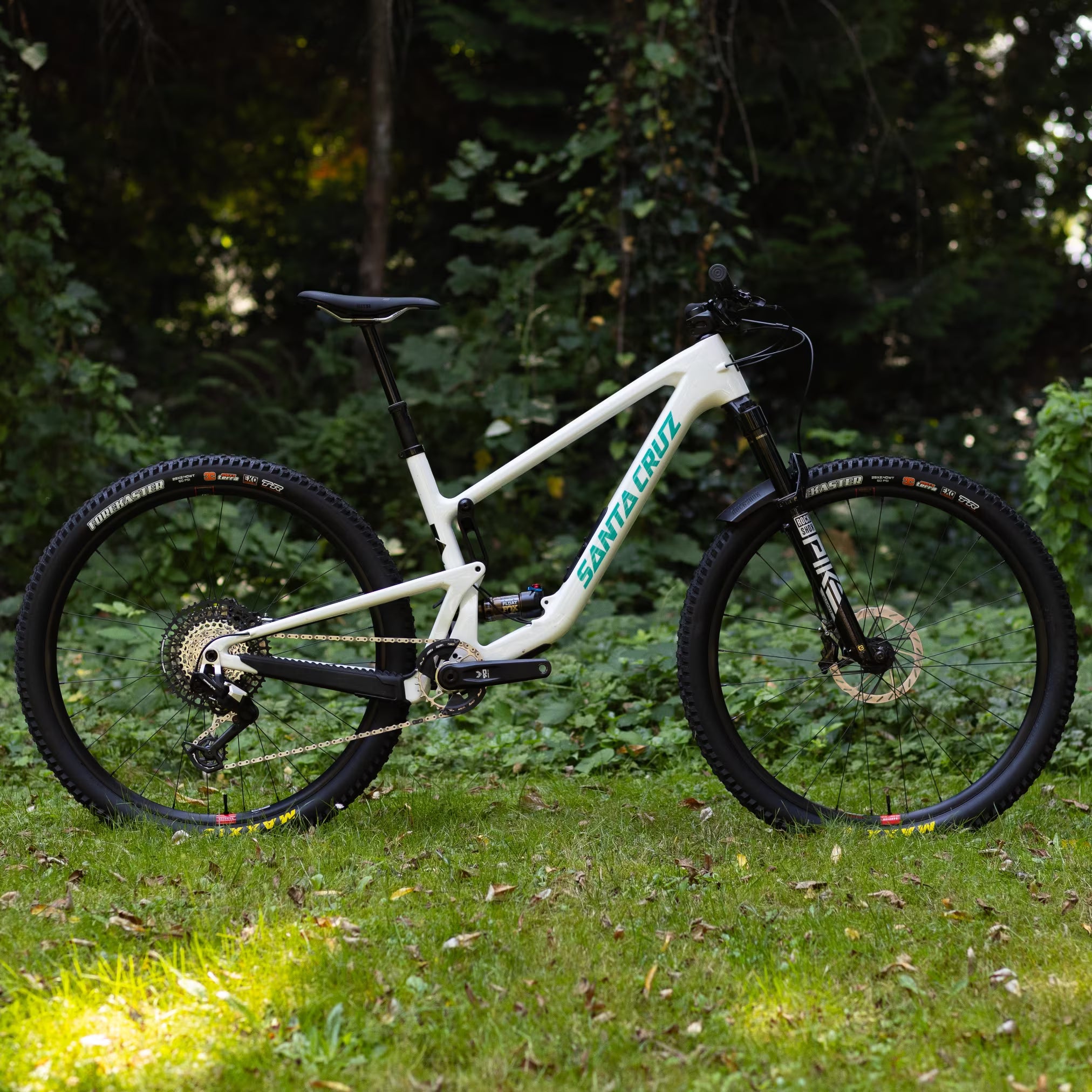 Santa Cruz Tallboy 5 CC 29 Custom White L (Demo)