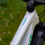 Santa Cruz Tallboy 5 CC 29 Custom White L (Demo)