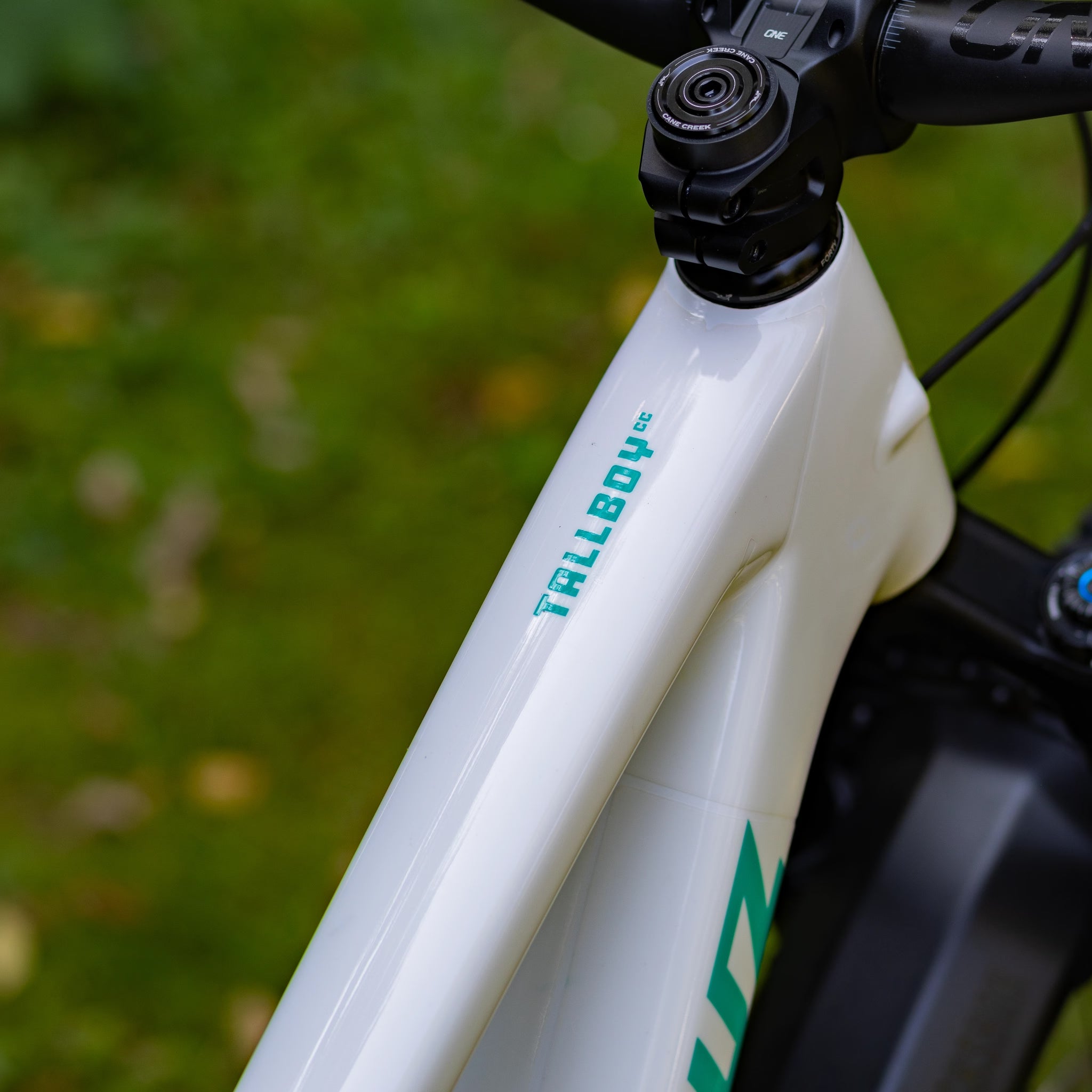 Santa Cruz Tallboy 5 CC 29 Custom White L (Demo)