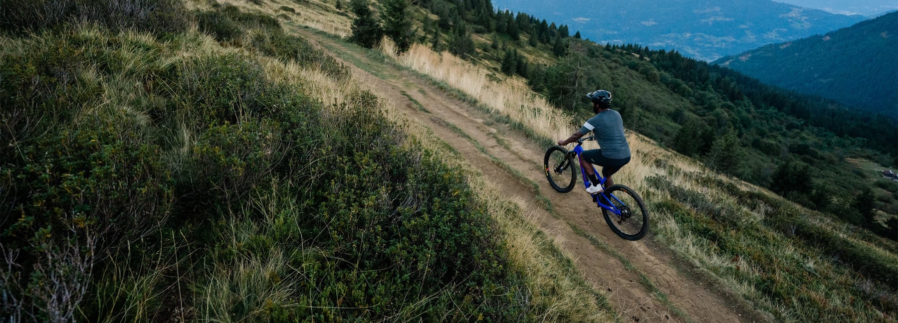 Santa Cruz Tallboy Steed Cycles