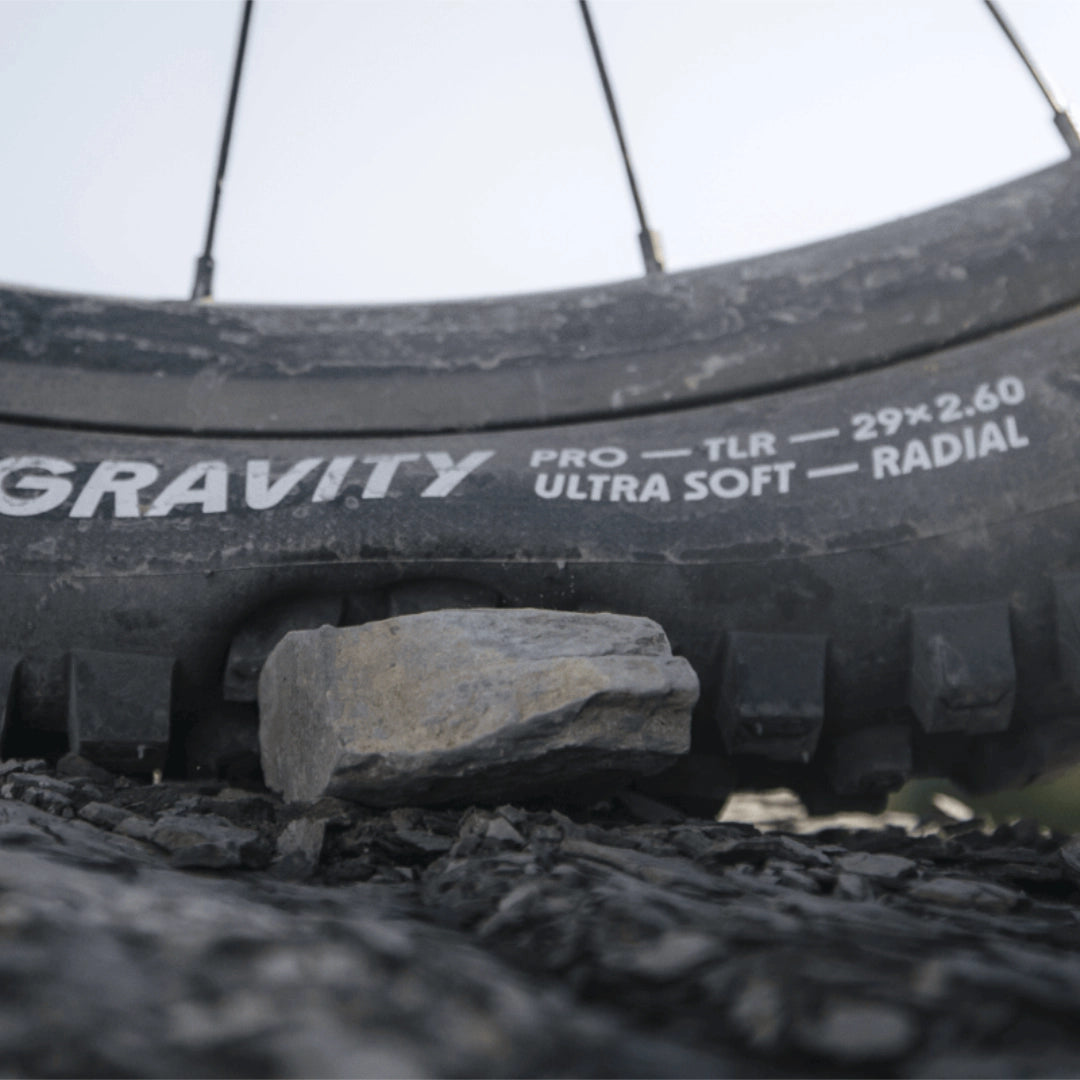 Schwable-Radial-Tires-Steed-Cycles.webp