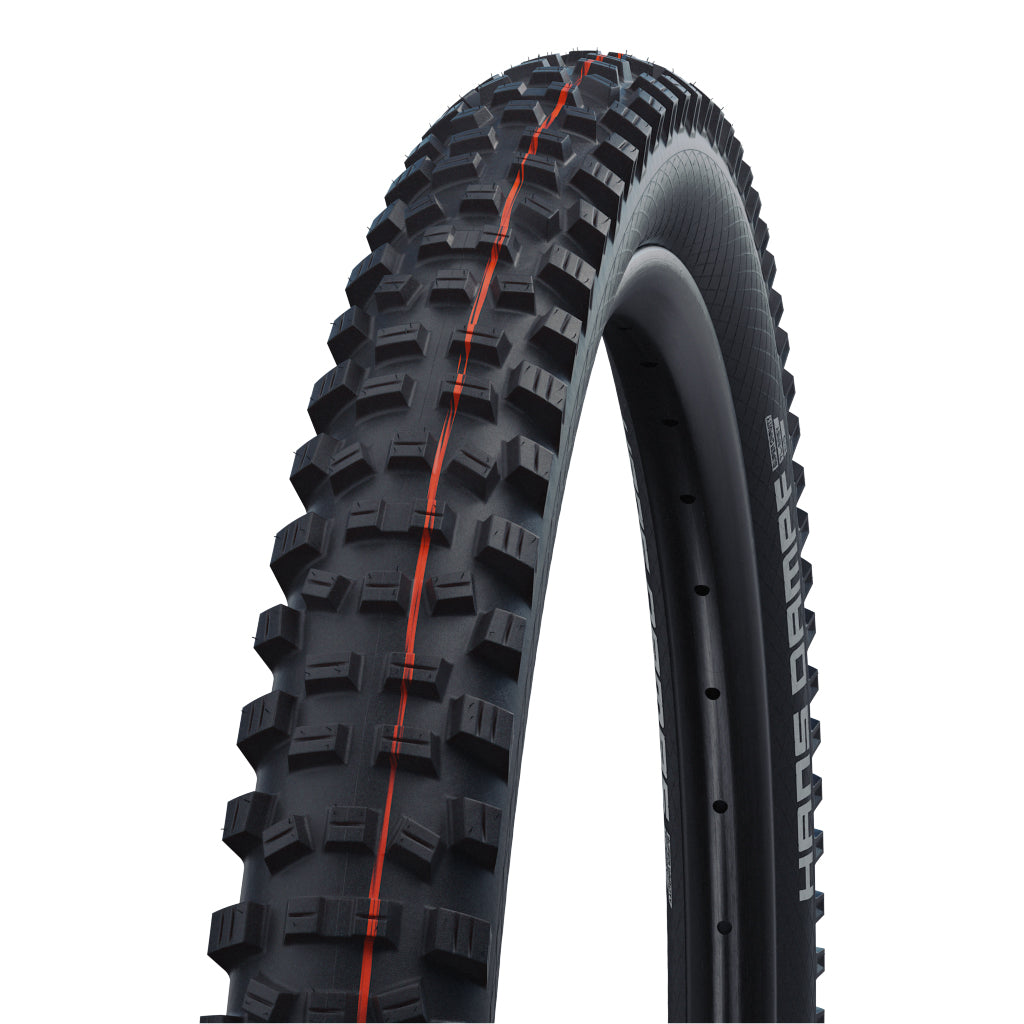 Schwalbe Hans Dampf