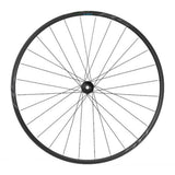Shimano WH-RS171-700C Roues à disque CL 10/11 vitesses